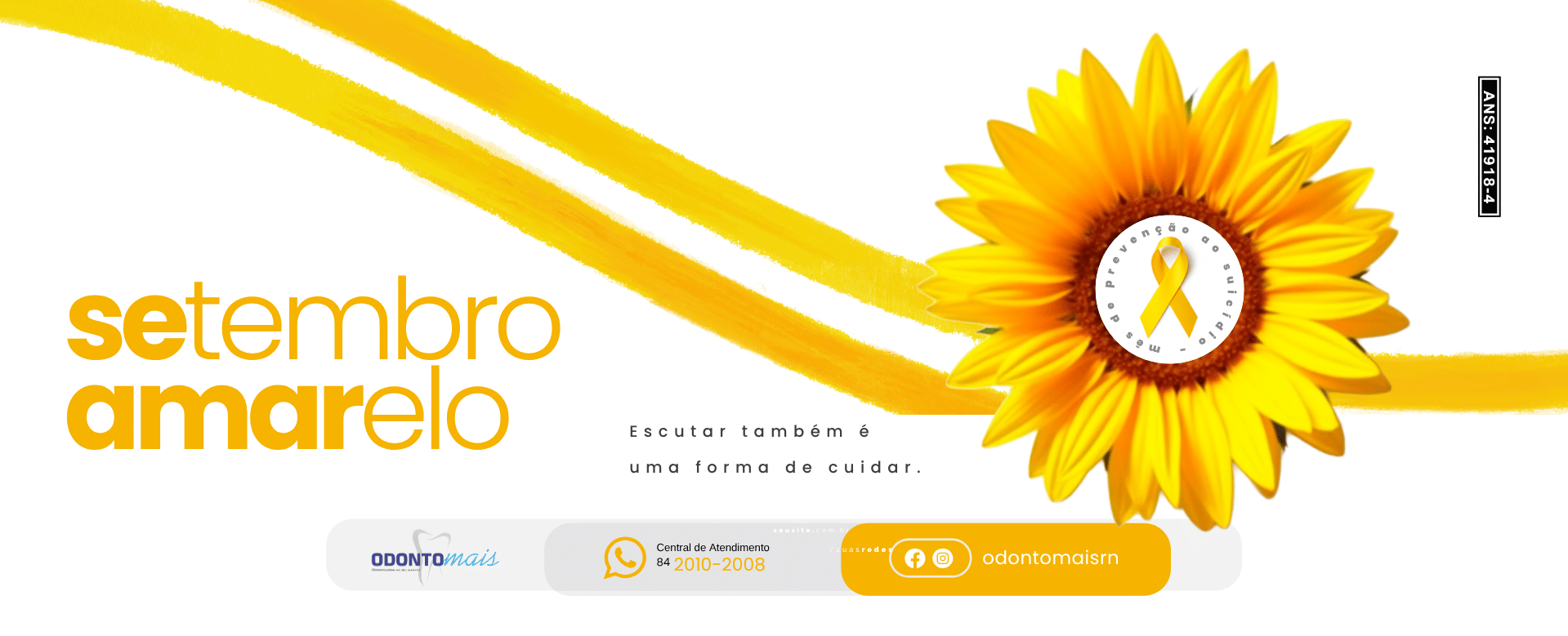 Novo Banner